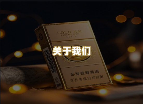 关于我们